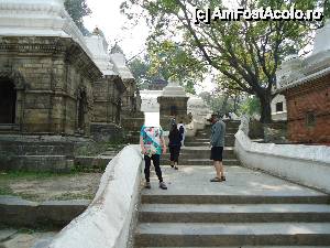 [P11] urcam » foto by buterfly*
 - 
<span class="allrVoted glyphicon glyphicon-heart hidden" id="av509548"></span>
<a class="m-l-10 hidden" id="sv509548" onclick="voting_Foto_DelVot(,509548,7929)" role="button">șterge vot <span class="glyphicon glyphicon-remove"></span></a>
<a id="v9509548" class=" c-red"  onclick="voting_Foto_SetVot(509548)" role="button"><span class="glyphicon glyphicon-heart-empty"></span> <b>LIKE</b> = Votează poza</a> <img class="hidden"  id="f509548W9" src="/imagini/loader.gif" border="0" /><span class="AjErrMes hidden" id="e509548ErM"></span>