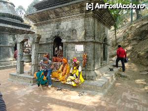 [P16] grup 'vesel' » foto by buterfly*
 - 
<span class="allrVoted glyphicon glyphicon-heart hidden" id="av509553"></span>
<a class="m-l-10 hidden" id="sv509553" onclick="voting_Foto_DelVot(,509553,7929)" role="button">șterge vot <span class="glyphicon glyphicon-remove"></span></a>
<a id="v9509553" class=" c-red"  onclick="voting_Foto_SetVot(509553)" role="button"><span class="glyphicon glyphicon-heart-empty"></span> <b>LIKE</b> = Votează poza</a> <img class="hidden"  id="f509553W9" src="/imagini/loader.gif" border="0" /><span class="AjErrMes hidden" id="e509553ErM"></span>