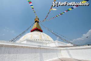 [P10]  -- <small>// FĂRĂ DESCRIERE</small> » foto by buterfly*
 - 
<span class="allrVoted glyphicon glyphicon-heart hidden" id="av510013"></span>
<a class="m-l-10 hidden" id="sv510013" onclick="voting_Foto_DelVot(,510013,7929)" role="button">șterge vot <span class="glyphicon glyphicon-remove"></span></a>
<a id="v9510013" class=" c-red"  onclick="voting_Foto_SetVot(510013)" role="button"><span class="glyphicon glyphicon-heart-empty"></span> <b>LIKE</b> = Votează poza</a> <img class="hidden"  id="f510013W9" src="/imagini/loader.gif" border="0" /><span class="AjErrMes hidden" id="e510013ErM"></span>