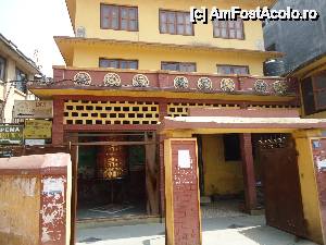 [P17] alt mosor » foto by buterfly*
 - 
<span class="allrVoted glyphicon glyphicon-heart hidden" id="av510020"></span>
<a class="m-l-10 hidden" id="sv510020" onclick="voting_Foto_DelVot(,510020,7929)" role="button">șterge vot <span class="glyphicon glyphicon-remove"></span></a>
<a id="v9510020" class=" c-red"  onclick="voting_Foto_SetVot(510020)" role="button"><span class="glyphicon glyphicon-heart-empty"></span> <b>LIKE</b> = Votează poza</a> <img class="hidden"  id="f510020W9" src="/imagini/loader.gif" border="0" /><span class="AjErrMes hidden" id="e510020ErM"></span>