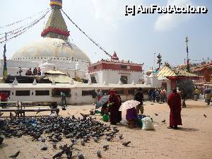 [P21]  -- <small>// FĂRĂ DESCRIERE</small> » foto by buterfly*
 - 
<span class="allrVoted glyphicon glyphicon-heart hidden" id="av510024"></span>
<a class="m-l-10 hidden" id="sv510024" onclick="voting_Foto_DelVot(,510024,7929)" role="button">șterge vot <span class="glyphicon glyphicon-remove"></span></a>
<a id="v9510024" class=" c-red"  onclick="voting_Foto_SetVot(510024)" role="button"><span class="glyphicon glyphicon-heart-empty"></span> <b>LIKE</b> = Votează poza</a> <img class="hidden"  id="f510024W9" src="/imagini/loader.gif" border="0" /><span class="AjErrMes hidden" id="e510024ErM"></span>