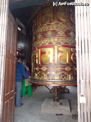 [P22] mosor » foto by buterfly*
 - 
<span class="allrVoted glyphicon glyphicon-heart hidden" id="av510025"></span>
<a class="m-l-10 hidden" id="sv510025" onclick="voting_Foto_DelVot(,510025,7929)" role="button">șterge vot <span class="glyphicon glyphicon-remove"></span></a>
<a id="v9510025" class=" c-red"  onclick="voting_Foto_SetVot(510025)" role="button"><span class="glyphicon glyphicon-heart-empty"></span> <b>LIKE</b> = Votează poza</a> <img class="hidden"  id="f510025W9" src="/imagini/loader.gif" border="0" /><span class="AjErrMes hidden" id="e510025ErM"></span>