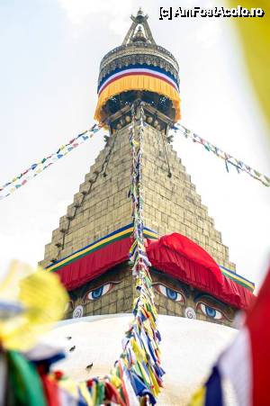 [P08]  -- <small>// FĂRĂ DESCRIERE</small> » foto by buterfly*
 - 
<span class="allrVoted glyphicon glyphicon-heart hidden" id="av510011"></span>
<a class="m-l-10 hidden" id="sv510011" onclick="voting_Foto_DelVot(,510011,7929)" role="button">șterge vot <span class="glyphicon glyphicon-remove"></span></a>
<a id="v9510011" class=" c-red"  onclick="voting_Foto_SetVot(510011)" role="button"><span class="glyphicon glyphicon-heart-empty"></span> <b>LIKE</b> = Votează poza</a> <img class="hidden"  id="f510011W9" src="/imagini/loader.gif" border="0" /><span class="AjErrMes hidden" id="e510011ErM"></span>