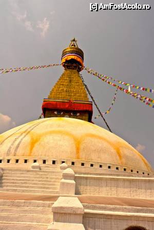 [P09]  -- <small>// FĂRĂ DESCRIERE</small> » foto by buterfly*
 - 
<span class="allrVoted glyphicon glyphicon-heart hidden" id="av510012"></span>
<a class="m-l-10 hidden" id="sv510012" onclick="voting_Foto_DelVot(,510012,7929)" role="button">șterge vot <span class="glyphicon glyphicon-remove"></span></a>
<a id="v9510012" class=" c-red"  onclick="voting_Foto_SetVot(510012)" role="button"><span class="glyphicon glyphicon-heart-empty"></span> <b>LIKE</b> = Votează poza</a> <img class="hidden"  id="f510012W9" src="/imagini/loader.gif" border="0" /><span class="AjErrMes hidden" id="e510012ErM"></span>