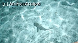 [P15] la Water Villa, ne-a plăcut foarte mult seara să privim „acvariul” din fața noastră, când se lăsa întunericul și se aprindeau automat reflectoarele în apă.
Spre marea noastră bucurie, am prins câteva seri superbe, fără pic de vânt, când apa era atât de limpede încât peștii se vedeau perfect. » foto by elenaadina
 - 
<span class="allrVoted glyphicon glyphicon-heart hidden" id="av1524041"></span>
<a class="m-l-10 hidden" id="sv1524041" onclick="voting_Foto_DelVot(,1524041,7942)" role="button">șterge vot <span class="glyphicon glyphicon-remove"></span></a>
<a id="v91524041" class=" c-red"  onclick="voting_Foto_SetVot(1524041)" role="button"><span class="glyphicon glyphicon-heart-empty"></span> <b>LIKE</b> = Votează poza</a> <img class="hidden"  id="f1524041W9" src="/imagini/loader.gif" border="0" /><span class="AjErrMes hidden" id="e1524041ErM"></span>