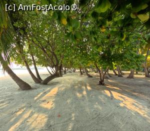 [P04] Meeru Maldives 2026 » foto by elenaadina
 - 
<span class="allrVoted glyphicon glyphicon-heart hidden" id="av1524030"></span>
<a class="m-l-10 hidden" id="sv1524030" onclick="voting_Foto_DelVot(,1524030,7942)" role="button">șterge vot <span class="glyphicon glyphicon-remove"></span></a>
<a id="v91524030" class=" c-red"  onclick="voting_Foto_SetVot(1524030)" role="button"><span class="glyphicon glyphicon-heart-empty"></span> <b>LIKE</b> = Votează poza</a> <img class="hidden"  id="f1524030W9" src="/imagini/loader.gif" border="0" /><span class="AjErrMes hidden" id="e1524030ErM"></span>