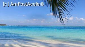 [P43]  -- <small>// FĂRĂ DESCRIERE</small> » foto by elenaadina
 - 
<span class="allrVoted glyphicon glyphicon-heart hidden" id="av1524069"></span>
<a class="m-l-10 hidden" id="sv1524069" onclick="voting_Foto_DelVot(,1524069,7942)" role="button">șterge vot <span class="glyphicon glyphicon-remove"></span></a>
<a id="v91524069" class=" c-red"  onclick="voting_Foto_SetVot(1524069)" role="button"><span class="glyphicon glyphicon-heart-empty"></span> <b>LIKE</b> = Votează poza</a> <img class="hidden"  id="f1524069W9" src="/imagini/loader.gif" border="0" /><span class="AjErrMes hidden" id="e1524069ErM"></span>