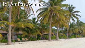 [P06] mp » foto by elenaadina
 - 
<span class="allrVoted glyphicon glyphicon-heart hidden" id="av1524032"></span>
<a class="m-l-10 hidden" id="sv1524032" onclick="voting_Foto_DelVot(,1524032,7942)" role="button">șterge vot <span class="glyphicon glyphicon-remove"></span></a>
<a id="v91524032" class=" c-red"  onclick="voting_Foto_SetVot(1524032)" role="button"><span class="glyphicon glyphicon-heart-empty"></span> <b>LIKE</b> = Votează poza</a> <img class="hidden"  id="f1524032W9" src="/imagini/loader.gif" border="0" /><span class="AjErrMes hidden" id="e1524032ErM"></span>