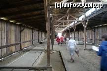 [P36] O baracă de la Auschwitz-Birkenau » foto by Costi
 - 
<span class="allrVoted glyphicon glyphicon-heart hidden" id="av232411"></span>
<a class="m-l-10 hidden" id="sv232411" onclick="voting_Foto_DelVot(,232411,7968)" role="button">șterge vot <span class="glyphicon glyphicon-remove"></span></a>
<a id="v9232411" class=" c-red"  onclick="voting_Foto_SetVot(232411)" role="button"><span class="glyphicon glyphicon-heart-empty"></span> <b>LIKE</b> = Votează poza</a> <img class="hidden"  id="f232411W9" src="/imagini/loader.gif" border="0" /><span class="AjErrMes hidden" id="e232411ErM"></span>