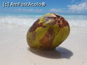 [P02] Nuca de cocos o gasesti la intamplare pe plaja din insula Saona » foto by Ana84
 - 
<span class="allrVoted glyphicon glyphicon-heart hidden" id="av797569"></span>
<a class="m-l-10 hidden" id="sv797569" onclick="voting_Foto_DelVot(,797569,7983)" role="button">șterge vot <span class="glyphicon glyphicon-remove"></span></a>
<a id="v9797569" class=" c-red"  onclick="voting_Foto_SetVot(797569)" role="button"><span class="glyphicon glyphicon-heart-empty"></span> <b>LIKE</b> = Votează poza</a> <img class="hidden"  id="f797569W9" src="/imagini/loader.gif" border="0" /><span class="AjErrMes hidden" id="e797569ErM"></span>