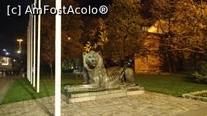 [P11] Sofia by night - biserica Sfânta Sofia, monumentul Leului bulgar » foto by Dragoș_MD
 - 
<span class="allrVoted glyphicon glyphicon-heart hidden" id="av1142381"></span>
<a class="m-l-10 hidden" id="sv1142381" onclick="voting_Foto_DelVot(,1142381,7987)" role="button">șterge vot <span class="glyphicon glyphicon-remove"></span></a>
<a id="v91142381" class=" c-red"  onclick="voting_Foto_SetVot(1142381)" role="button"><span class="glyphicon glyphicon-heart-empty"></span> <b>LIKE</b> = Votează poza</a> <img class="hidden"  id="f1142381W9" src="/imagini/loader.gif" border="0" /><span class="AjErrMes hidden" id="e1142381ErM"></span>