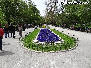 P08 [APR-2014] Parcul ,,Gradina Orasului'' cu alei largi si multe flori