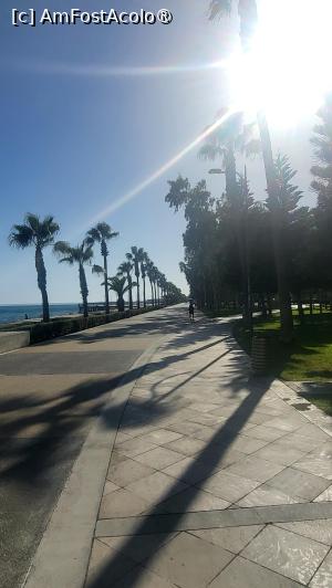 [P31] Parcul de pe Faleza Molos, numit si Parcul de Sculpturi se intinde pe o lungime de 2 km, incepand din dreptul biserii Sfanta Ecaterina, pana la Vechiul Port, fiind considerata una dintre cele mai frumoase zone ale orasului, cu alei pietonale, piste pentru biciclete, vegetatie cu palmieri, fantani si sculpturi artistice. » foto by geani anto
 - 
<span class="allrVoted glyphicon glyphicon-heart hidden" id="av1539134"></span>
<a class="m-l-10 hidden" id="sv1539134" onclick="voting_Foto_DelVot(,1539134,7992)" role="button">șterge vot <span class="glyphicon glyphicon-remove"></span></a>
<a id="v91539134" class=" c-red"  onclick="voting_Foto_SetVot(1539134)" role="button"><span class="glyphicon glyphicon-heart-empty"></span> <b>LIKE</b> = Votează poza</a> <img class="hidden"  id="f1539134W9" src="/imagini/loader.gif" border="0" /><span class="AjErrMes hidden" id="e1539134ErM"></span>