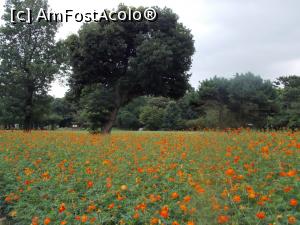 [P98] Tokyo, Grădina Hamarikyu, Câmpul cu fori de cosmos sulf portocalii » foto by mprofeanu
 - 
<span class="allrVoted glyphicon glyphicon-heart hidden" id="av751215"></span>
<a class="m-l-10 hidden" id="sv751215" onclick="voting_Foto_DelVot(,751215,7999)" role="button">șterge vot <span class="glyphicon glyphicon-remove"></span></a>
<a id="v9751215" class=" c-red"  onclick="voting_Foto_SetVot(751215)" role="button"><span class="glyphicon glyphicon-heart-empty"></span> <b>LIKE</b> = Votează poza</a> <img class="hidden"  id="f751215W9" src="/imagini/loader.gif" border="0" /><span class="AjErrMes hidden" id="e751215ErM"></span>