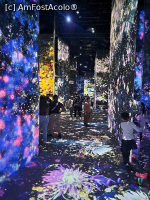 [P30] Suntem in muzeul TeamLab  Borderless » foto by DOINITA
 - 
<span class="allrVoted glyphicon glyphicon-heart hidden" id="av1478898"></span>
<a class="m-l-10 hidden" id="sv1478898" onclick="voting_Foto_DelVot(,1478898,7999)" role="button">șterge vot <span class="glyphicon glyphicon-remove"></span></a>
<a id="v91478898" class=" c-red"  onclick="voting_Foto_SetVot(1478898)" role="button"><span class="glyphicon glyphicon-heart-empty"></span> <b>LIKE</b> = Votează poza</a> <img class="hidden"  id="f1478898W9" src="/imagini/loader.gif" border="0" /><span class="AjErrMes hidden" id="e1478898ErM"></span>