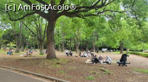 [P21] Inainte de a deveni un parc urban in 1967, zona in care se afla Parcul Yoyogi a servit ca loc de amplasare a Satului Olimpic pentru Jocurile Olimpice de la Tokyo din 1964 si mai inainte, ca zona rezidentiala pentru personalul militar american. » foto by geani anto
 - 
<span class="allrVoted glyphicon glyphicon-heart hidden" id="av1437254"></span>
<a class="m-l-10 hidden" id="sv1437254" onclick="voting_Foto_DelVot(,1437254,7999)" role="button">șterge vot <span class="glyphicon glyphicon-remove"></span></a>
<a id="v91437254" class=" c-red"  onclick="voting_Foto_SetVot(1437254)" role="button"><span class="glyphicon glyphicon-heart-empty"></span> <b>LIKE</b> = Votează poza</a> <img class="hidden"  id="f1437254W9" src="/imagini/loader.gif" border="0" /><span class="AjErrMes hidden" id="e1437254ErM"></span>