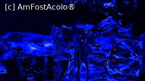[P27] ,,Universe of Water Particles - Born in the Darkness, Return to the Darkness” este o incapere in care ne-am strecurat printre structurile megalitice, atenti la colturile ascutite ale acestora, pe care sunt proiectate imagini pornind de la modele florale vibrante la valuri digitale. » foto by geani anto
 - 
<span class="allrVoted glyphicon glyphicon-heart hidden" id="av1464827"></span>
<a class="m-l-10 hidden" id="sv1464827" onclick="voting_Foto_DelVot(,1464827,7999)" role="button">șterge vot <span class="glyphicon glyphicon-remove"></span></a>
<a id="v91464827" class=" c-red"  onclick="voting_Foto_SetVot(1464827)" role="button"><span class="glyphicon glyphicon-heart-empty"></span> <b>LIKE</b> = Votează poza</a> <img class="hidden"  id="f1464827W9" src="/imagini/loader.gif" border="0" /><span class="AjErrMes hidden" id="e1464827ErM"></span>