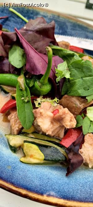 [P15] Tigaia picantă de porc. » foto by tata123 🔱
 - 
<span class="allrVoted glyphicon glyphicon-heart hidden" id="av1528694"></span>
<a class="m-l-10 hidden" id="sv1528694" onclick="voting_Foto_DelVot(,1528694,8083)" role="button">șterge vot <span class="glyphicon glyphicon-remove"></span></a>
<a id="v91528694" class=" c-red"  onclick="voting_Foto_SetVot(1528694)" role="button"><span class="glyphicon glyphicon-heart-empty"></span> <b>LIKE</b> = Votează poza</a> <img class="hidden"  id="f1528694W9" src="/imagini/loader.gif" border="0" /><span class="AjErrMes hidden" id="e1528694ErM"></span>
