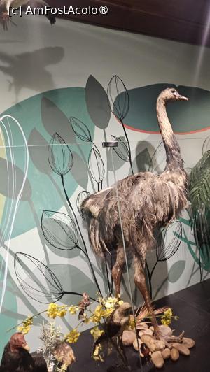 [P21] din fauna zonei » foto by robert
 - 
<span class="allrVoted glyphicon glyphicon-heart hidden" id="av1519656"></span>
<a class="m-l-10 hidden" id="sv1519656" onclick="voting_Foto_DelVot(,1519656,8109)" role="button">șterge vot <span class="glyphicon glyphicon-remove"></span></a>
<a id="v91519656" class=" c-red"  onclick="voting_Foto_SetVot(1519656)" role="button"><span class="glyphicon glyphicon-heart-empty"></span> <b>LIKE</b> = Votează poza</a> <img class="hidden"  id="f1519656W9" src="/imagini/loader.gif" border="0" /><span class="AjErrMes hidden" id="e1519656ErM"></span>