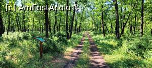 [P06] Așa arată poteca prin pădure, un adevărat drumeag. » foto by tata123 🔱
 - 
<span class="allrVoted glyphicon glyphicon-heart hidden" id="av1483612"></span>
<a class="m-l-10 hidden" id="sv1483612" onclick="voting_Foto_DelVot(,1483612,8118)" role="button">șterge vot <span class="glyphicon glyphicon-remove"></span></a>
<a id="v91483612" class=" c-red"  onclick="voting_Foto_SetVot(1483612)" role="button"><span class="glyphicon glyphicon-heart-empty"></span> <b>LIKE</b> = Votează poza</a> <img class="hidden"  id="f1483612W9" src="/imagini/loader.gif" border="0" /><span class="AjErrMes hidden" id="e1483612ErM"></span>