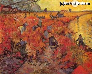 [P21] 'La vigne rouge' (Via rosie), singura panza vanduta de Vincent van Gogh in timpul vietii sale (sursa Internet)  » foto by dorgo <span class="label label-default labelC_thin small">NEVOTABILĂ</span>