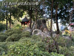 [P54] Chinese Garden of Friendship din Sydney » foto by AZE
 - 
<span class="allrVoted glyphicon glyphicon-heart hidden" id="av1379491"></span>
<a class="m-l-10 hidden" id="sv1379491" onclick="voting_Foto_DelVot(,1379491,8165)" role="button">șterge vot <span class="glyphicon glyphicon-remove"></span></a>
<a id="v91379491" class=" c-red"  onclick="voting_Foto_SetVot(1379491)" role="button"><span class="glyphicon glyphicon-heart-empty"></span> <b>LIKE</b> = Votează poza</a> <img class="hidden"  id="f1379491W9" src="/imagini/loader.gif" border="0" /><span class="AjErrMes hidden" id="e1379491ErM"></span>