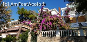 [P20] Vila frumos decorata cu flori » foto by Dorina9
 - 
<span class="allrVoted glyphicon glyphicon-heart hidden" id="av1161046"></span>
<a class="m-l-10 hidden" id="sv1161046" onclick="voting_Foto_DelVot(,1161046,8221)" role="button">șterge vot <span class="glyphicon glyphicon-remove"></span></a>
<a id="v91161046" class=" c-red"  onclick="voting_Foto_SetVot(1161046)" role="button"><span class="glyphicon glyphicon-heart-empty"></span> <b>LIKE</b> = Votează poza</a> <img class="hidden"  id="f1161046W9" src="/imagini/loader.gif" border="0" /><span class="AjErrMes hidden" id="e1161046ErM"></span>