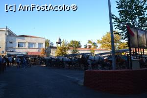 [P42] "Garaj" unde stationeaza trasurile » foto by Dorina9
 - 
<span class="allrVoted glyphicon glyphicon-heart hidden" id="av1161068"></span>
<a class="m-l-10 hidden" id="sv1161068" onclick="voting_Foto_DelVot(,1161068,8221)" role="button">șterge vot <span class="glyphicon glyphicon-remove"></span></a>
<a id="v91161068" class=" c-red"  onclick="voting_Foto_SetVot(1161068)" role="button"><span class="glyphicon glyphicon-heart-empty"></span> <b>LIKE</b> = Votează poza</a> <img class="hidden"  id="f1161068W9" src="/imagini/loader.gif" border="0" /><span class="AjErrMes hidden" id="e1161068ErM"></span>