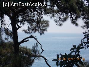 [P28] Marea printre pomi.  » foto by elviramvio
 - 
<span class="allrVoted glyphicon glyphicon-heart hidden" id="av884247"></span>
<a class="m-l-10 hidden" id="sv884247" onclick="voting_Foto_DelVot(,884247,8221)" role="button">șterge vot <span class="glyphicon glyphicon-remove"></span></a>
<a id="v9884247" class=" c-red"  onclick="voting_Foto_SetVot(884247)" role="button"><span class="glyphicon glyphicon-heart-empty"></span> <b>LIKE</b> = Votează poza</a> <img class="hidden"  id="f884247W9" src="/imagini/loader.gif" border="0" /><span class="AjErrMes hidden" id="e884247ErM"></span>