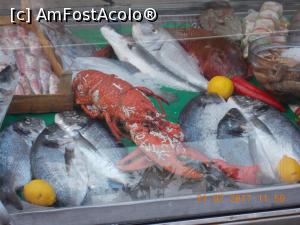 [P46] Alegeti!  » foto by elviramvio
 - 
<span class="allrVoted glyphicon glyphicon-heart hidden" id="av884290"></span>
<a class="m-l-10 hidden" id="sv884290" onclick="voting_Foto_DelVot(,884290,8221)" role="button">șterge vot <span class="glyphicon glyphicon-remove"></span></a>
<a id="v9884290" class=" c-red"  onclick="voting_Foto_SetVot(884290)" role="button"><span class="glyphicon glyphicon-heart-empty"></span> <b>LIKE</b> = Votează poza</a> <img class="hidden"  id="f884290W9" src="/imagini/loader.gif" border="0" /><span class="AjErrMes hidden" id="e884290ErM"></span>