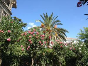 [P02] Insula Printului? ... De fapt... Insula Florilor!!!  » foto by vioricanik
 - 
<span class="allrVoted glyphicon glyphicon-heart hidden" id="av538029"></span>
<a class="m-l-10 hidden" id="sv538029" onclick="voting_Foto_DelVot(,538029,8221)" role="button">șterge vot <span class="glyphicon glyphicon-remove"></span></a>
<a id="v9538029" class=" c-red"  onclick="voting_Foto_SetVot(538029)" role="button"><span class="glyphicon glyphicon-heart-empty"></span> <b>LIKE</b> = Votează poza</a> <img class="hidden"  id="f538029W9" src="/imagini/loader.gif" border="0" /><span class="AjErrMes hidden" id="e538029ErM"></span>