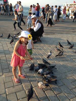 [P09] Nelipsitii porumbei. » foto by vioricanik
 - 
<span class="allrVoted glyphicon glyphicon-heart hidden" id="av538045"></span>
<a class="m-l-10 hidden" id="sv538045" onclick="voting_Foto_DelVot(,538045,8221)" role="button">șterge vot <span class="glyphicon glyphicon-remove"></span></a>
<a id="v9538045" class=" c-red"  onclick="voting_Foto_SetVot(538045)" role="button"><span class="glyphicon glyphicon-heart-empty"></span> <b>LIKE</b> = Votează poza</a> <img class="hidden"  id="f538045W9" src="/imagini/loader.gif" border="0" /><span class="AjErrMes hidden" id="e538045ErM"></span>