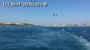 P08 [APR-2018] Lăsăm în urmă Istanbulul cu palatul Topkapı şi ne însoţesc mulţi pescăruşi