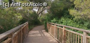 [P46] <strong>Parcul Natural Devesa - Albufera, </strong><strong>traseul istoric Gola del Pujol</strong>. » foto by Aurici
 - 
<span class="allrVoted glyphicon glyphicon-heart hidden" id="av1267125"></span>
<a class="m-l-10 hidden" id="sv1267125" onclick="voting_Foto_DelVot(,1267125,8268)" role="button">șterge vot <span class="glyphicon glyphicon-remove"></span></a>
<a id="v91267125" class=" c-red"  onclick="voting_Foto_SetVot(1267125)" role="button"><span class="glyphicon glyphicon-heart-empty"></span> <b>LIKE</b> = Votează poza</a> <img class="hidden"  id="f1267125W9" src="/imagini/loader.gif" border="0" /><span class="AjErrMes hidden" id="e1267125ErM"></span>