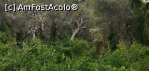 [P50] <strong>Parcul Natural Devesa - Albufera, </strong><strong>traseul istoric Gola del Pujol</strong>. » foto by Aurici
 - 
<span class="allrVoted glyphicon glyphicon-heart hidden" id="av1267129"></span>
<a class="m-l-10 hidden" id="sv1267129" onclick="voting_Foto_DelVot(,1267129,8268)" role="button">șterge vot <span class="glyphicon glyphicon-remove"></span></a>
<a id="v91267129" class=" c-red"  onclick="voting_Foto_SetVot(1267129)" role="button"><span class="glyphicon glyphicon-heart-empty"></span> <b>LIKE</b> = Votează poza</a> <img class="hidden"  id="f1267129W9" src="/imagini/loader.gif" border="0" /><span class="AjErrMes hidden" id="e1267129ErM"></span>