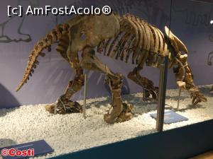 [P22] Un schelet de animal preistoric, în Museu de Cienciès Naturals » foto by Costi
 - 
<span class="allrVoted glyphicon glyphicon-heart hidden" id="av927307"></span>
<a class="m-l-10 hidden" id="sv927307" onclick="voting_Foto_DelVot(,927307,8268)" role="button">șterge vot <span class="glyphicon glyphicon-remove"></span></a>
<a id="v9927307" class=" c-red"  onclick="voting_Foto_SetVot(927307)" role="button"><span class="glyphicon glyphicon-heart-empty"></span> <b>LIKE</b> = Votează poza</a> <img class="hidden"  id="f927307W9" src="/imagini/loader.gif" border="0" /><span class="AjErrMes hidden" id="e927307ErM"></span>