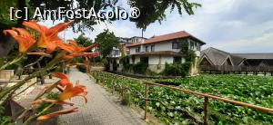 [P17] Hotelul, vedere de pe drumul către plajă » foto by Rofri
 - 
<span class="allrVoted glyphicon glyphicon-heart hidden" id="av1535748"></span>
<a class="m-l-10 hidden" id="sv1535748" onclick="voting_Foto_DelVot(,1535748,8276)" role="button">șterge vot <span class="glyphicon glyphicon-remove"></span></a>
<a id="v91535748" class=" c-red"  onclick="voting_Foto_SetVot(1535748)" role="button"><span class="glyphicon glyphicon-heart-empty"></span> <b>LIKE</b> = Votează poza</a> <img class="hidden"  id="f1535748W9" src="/imagini/loader.gif" border="0" /><span class="AjErrMes hidden" id="e1535748ErM"></span>