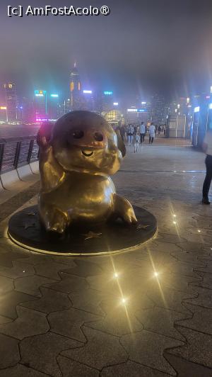 [P35] Exista 4 statui de bronz, una dintre ele reprezentand un personaj de desene animate, McDull, un porc antropomorf creat de caricaturisti din Hong Kong, care si-a facut aparitia pentru prima data ca personaj secundar in benzile desenate McMug, devenind simbolul culturii de desene animate din Hong Kong. Filmele din seria McDull au castigat premii la festivaluri de film importante din China si din lume. Statuia lui McDull de pe Avenue of Star are o baza aproape de pamant, ceea ce il face accesibil oamenilor. Are degetul indreptat spre cer, transmitand cele mai bune urari tuturor. » foto by geani anto
 - 
<span class="allrVoted glyphicon glyphicon-heart hidden" id="av1519443"></span>
<a class="m-l-10 hidden" id="sv1519443" onclick="voting_Foto_DelVot(,1519443,8285)" role="button">șterge vot <span class="glyphicon glyphicon-remove"></span></a>
<a id="v91519443" class=" c-red"  onclick="voting_Foto_SetVot(1519443)" role="button"><span class="glyphicon glyphicon-heart-empty"></span> <b>LIKE</b> = Votează poza</a> <img class="hidden"  id="f1519443W9" src="/imagini/loader.gif" border="0" /><span class="AjErrMes hidden" id="e1519443ErM"></span>