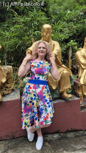 [P03] Poteca abrupta care urca pe deal este marginita de peste 500 de Buddha unici, statui arhat aurii in marime naturala, fiecare cu o postura si o expresie diferita, nu exista doua la fel.
Fiinte iluminate din toate categoriile sociale alcatuiesc lungul lant de Buddha de-a lungul scarilor. Calugari batrani, tineri, invatati, calugari care citesc sau care practica arte martiale, toti sunt in pozitii diferite, facand activitati diferite, cu expresii faciale diferite. 
Artistul care le-a creat a fost in mod clar destul de creativ, iar pe masura ce am urcat treptele catre manastire, statuile aurii pareau sa devina din ce in ce mai bizare. » foto by geani anto
 - 
<span class="allrVoted glyphicon glyphicon-heart hidden" id="av1520942"></span>
<a class="m-l-10 hidden" id="sv1520942" onclick="voting_Foto_DelVot(,1520942,8285)" role="button">șterge vot <span class="glyphicon glyphicon-remove"></span></a>
<a id="v91520942" class=" c-red"  onclick="voting_Foto_SetVot(1520942)" role="button"><span class="glyphicon glyphicon-heart-empty"></span> <b>LIKE</b> = Votează poza</a> <img class="hidden"  id="f1520942W9" src="/imagini/loader.gif" border="0" /><span class="AjErrMes hidden" id="e1520942ErM"></span>