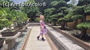 [P18]  -- <small>// FĂRĂ DESCRIERE</small> » foto by geani anto
 - 
<span class="allrVoted glyphicon glyphicon-heart hidden" id="av1521194"></span>
<a class="m-l-10 hidden" id="sv1521194" onclick="voting_Foto_DelVot(,1521194,8285)" role="button">șterge vot <span class="glyphicon glyphicon-remove"></span></a>
<a id="v91521194" class=" c-red"  onclick="voting_Foto_SetVot(1521194)" role="button"><span class="glyphicon glyphicon-heart-empty"></span> <b>LIKE</b> = Votează poza</a> <img class="hidden"  id="f1521194W9" src="/imagini/loader.gif" border="0" /><span class="AjErrMes hidden" id="e1521194ErM"></span>