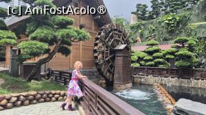 [P34] In fata Dealului Dragonului se afla o moara de apa. » foto by geani anto
 - 
<span class="allrVoted glyphicon glyphicon-heart hidden" id="av1521210"></span>
<a class="m-l-10 hidden" id="sv1521210" onclick="voting_Foto_DelVot(,1521210,8285)" role="button">șterge vot <span class="glyphicon glyphicon-remove"></span></a>
<a id="v91521210" class=" c-red"  onclick="voting_Foto_SetVot(1521210)" role="button"><span class="glyphicon glyphicon-heart-empty"></span> <b>LIKE</b> = Votează poza</a> <img class="hidden"  id="f1521210W9" src="/imagini/loader.gif" border="0" /><span class="AjErrMes hidden" id="e1521210ErM"></span>