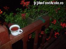 [P05]  -- <small>// FĂRĂ DESCRIERE</small> » foto by ANTONESEI OANA
 - 
<span class="allrVoted glyphicon glyphicon-heart hidden" id="av487674"></span>
<a class="m-l-10 hidden" id="sv487674" onclick="voting_Foto_DelVot(,487674,8311)" role="button">șterge vot <span class="glyphicon glyphicon-remove"></span></a>
<a id="v9487674" class=" c-red"  onclick="voting_Foto_SetVot(487674)" role="button"><span class="glyphicon glyphicon-heart-empty"></span> <b>LIKE</b> = Votează poza</a> <img class="hidden"  id="f487674W9" src="/imagini/loader.gif" border="0" /><span class="AjErrMes hidden" id="e487674ErM"></span>