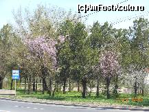 P04 [APR-2013] Giurgiu - Primăvara în oraşul de la Dunăre. 