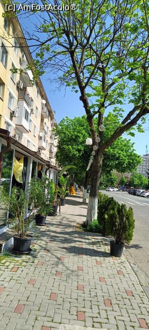 [P09] Str. Mircea cel Bătrân. » foto by tata123 🔱
 - 
<span class="allrVoted glyphicon glyphicon-heart hidden" id="av1530887"></span>
<a class="m-l-10 hidden" id="sv1530887" onclick="voting_Foto_DelVot(,1530887,8317)" role="button">șterge vot <span class="glyphicon glyphicon-remove"></span></a>
<a id="v91530887" class=" c-red"  onclick="voting_Foto_SetVot(1530887)" role="button"><span class="glyphicon glyphicon-heart-empty"></span> <b>LIKE</b> = Votează poza</a> <img class="hidden"  id="f1530887W9" src="/imagini/loader.gif" border="0" /><span class="AjErrMes hidden" id="e1530887ErM"></span>