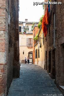 P09 [JUL-2013] Siena streets