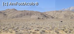 [P07] Desertul Mojave » foto by kmy
 - 
<span class="allrVoted glyphicon glyphicon-heart hidden" id="av1543493"></span>
<a class="m-l-10 hidden" id="sv1543493" onclick="voting_Foto_DelVot(,1543493,8408)" role="button">șterge vot <span class="glyphicon glyphicon-remove"></span></a>
<a id="v91543493" class=" c-red"  onclick="voting_Foto_SetVot(1543493)" role="button"><span class="glyphicon glyphicon-heart-empty"></span> <b>LIKE</b> = Votează poza</a> <img class="hidden"  id="f1543493W9" src="/imagini/loader.gif" border="0" /><span class="AjErrMes hidden" id="e1543493ErM"></span>