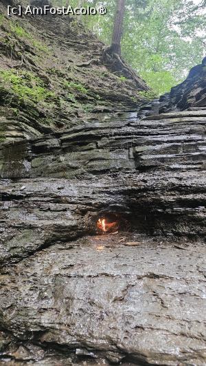[P11] eternal flame » foto by robert
 - 
<span class="allrVoted glyphicon glyphicon-heart hidden" id="av1545306"></span>
<a class="m-l-10 hidden" id="sv1545306" onclick="voting_Foto_DelVot(,1545306,8408)" role="button">șterge vot <span class="glyphicon glyphicon-remove"></span></a>
<a id="v91545306" class=" c-red"  onclick="voting_Foto_SetVot(1545306)" role="button"><span class="glyphicon glyphicon-heart-empty"></span> <b>LIKE</b> = Votează poza</a> <img class="hidden"  id="f1545306W9" src="/imagini/loader.gif" border="0" /><span class="AjErrMes hidden" id="e1545306ErM"></span>