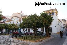 [P31] Fuengirola - Plaza del Ayuntamiento. În spatele portcalilor, clădirea vechii Primării » foto by Costi
 - 
<span class="allrVoted glyphicon glyphicon-heart hidden" id="av184721"></span>
<a class="m-l-10 hidden" id="sv184721" onclick="voting_Foto_DelVot(,184721,8504)" role="button">șterge vot <span class="glyphicon glyphicon-remove"></span></a>
<a id="v9184721" class=" c-red"  onclick="voting_Foto_SetVot(184721)" role="button"><span class="glyphicon glyphicon-heart-empty"></span> <b>LIKE</b> = Votează poza</a> <img class="hidden"  id="f184721W9" src="/imagini/loader.gif" border="0" /><span class="AjErrMes hidden" id="e184721ErM"></span>