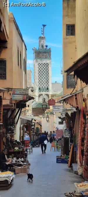 [P12] Fès, Medina, Chrabliyine Mosque, Minaretul văzut de pe Rue Talaa Kebira » foto by mprofeanu
 - 
<span class="allrVoted glyphicon glyphicon-heart hidden" id="av1465316"></span>
<a class="m-l-10 hidden" id="sv1465316" onclick="voting_Foto_DelVot(,1465316,8506)" role="button">șterge vot <span class="glyphicon glyphicon-remove"></span></a>
<a id="v91465316" class=" c-red"  onclick="voting_Foto_SetVot(1465316)" role="button"><span class="glyphicon glyphicon-heart-empty"></span> <b>LIKE</b> = Votează poza</a> <img class="hidden"  id="f1465316W9" src="/imagini/loader.gif" border="0" /><span class="AjErrMes hidden" id="e1465316ErM"></span>