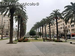 [P10] Av. Hassan II » foto by adso
 - 
<span class="allrVoted glyphicon glyphicon-heart hidden" id="av1547216"></span>
<a class="m-l-10 hidden" id="sv1547216" onclick="voting_Foto_DelVot(,1547216,8506)" role="button">șterge vot <span class="glyphicon glyphicon-remove"></span></a>
<a id="v91547216" class=" c-red"  onclick="voting_Foto_SetVot(1547216)" role="button"><span class="glyphicon glyphicon-heart-empty"></span> <b>LIKE</b> = Votează poza</a> <img class="hidden"  id="f1547216W9" src="/imagini/loader.gif" border="0" /><span class="AjErrMes hidden" id="e1547216ErM"></span>